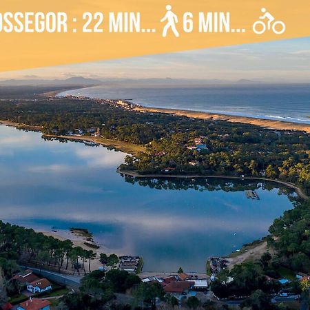 Hossegor - Vue Ocean - Plage - Couple - Famille Soorts-Hossegor Exterior foto
